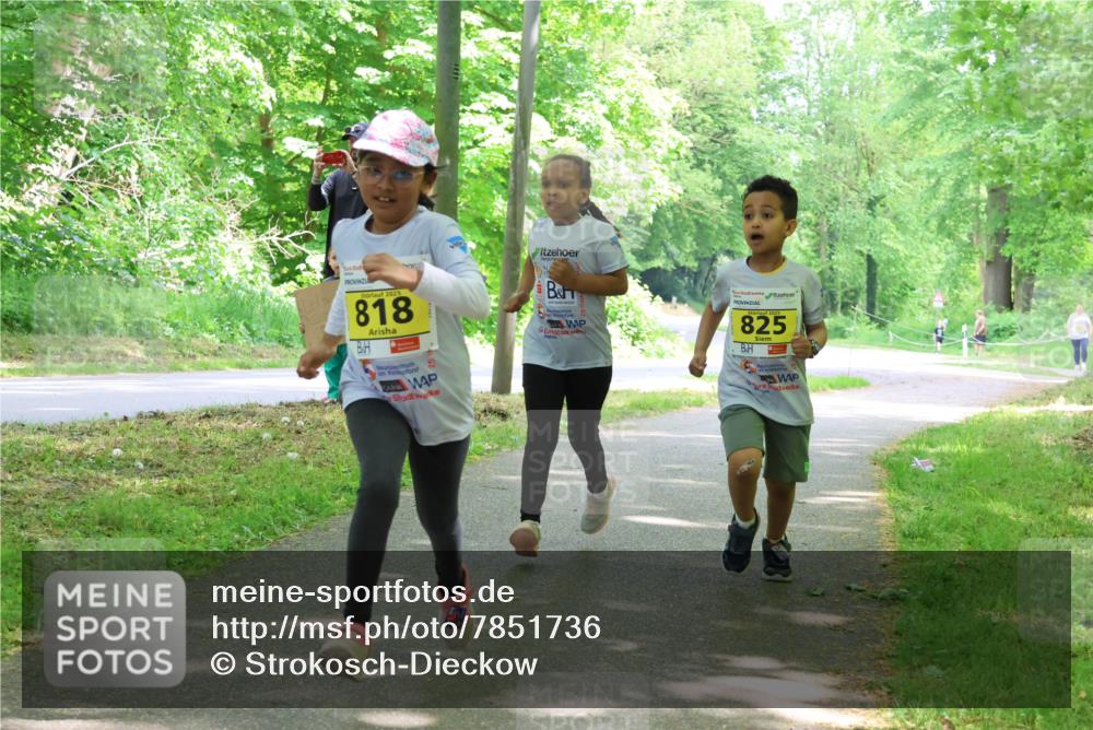 17.05.2025 - Störlauf Strokosch-Dieckow http://msf.ph/oto/7851736 17.05.2025 14:16:04 Laufen 825, 2025, 818 meine-sportfotos.de