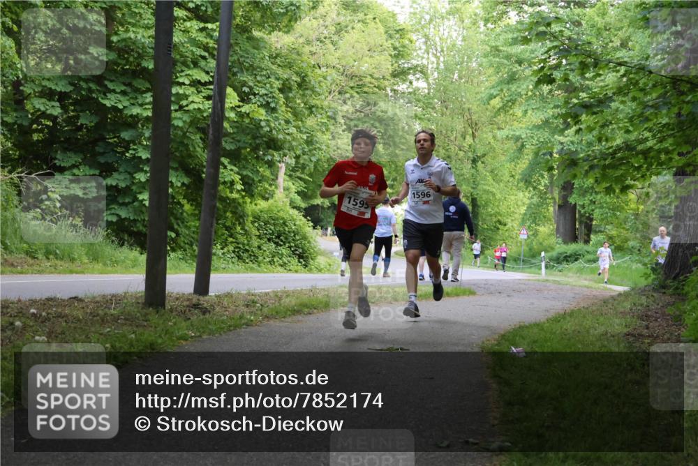 17.05.2025 - Störlauf Strokosch-Dieckow http://msf.ph/oto/7852174 17.05.2025 14:36:12 Laufen 1596, 1595 meine-sportfotos.de