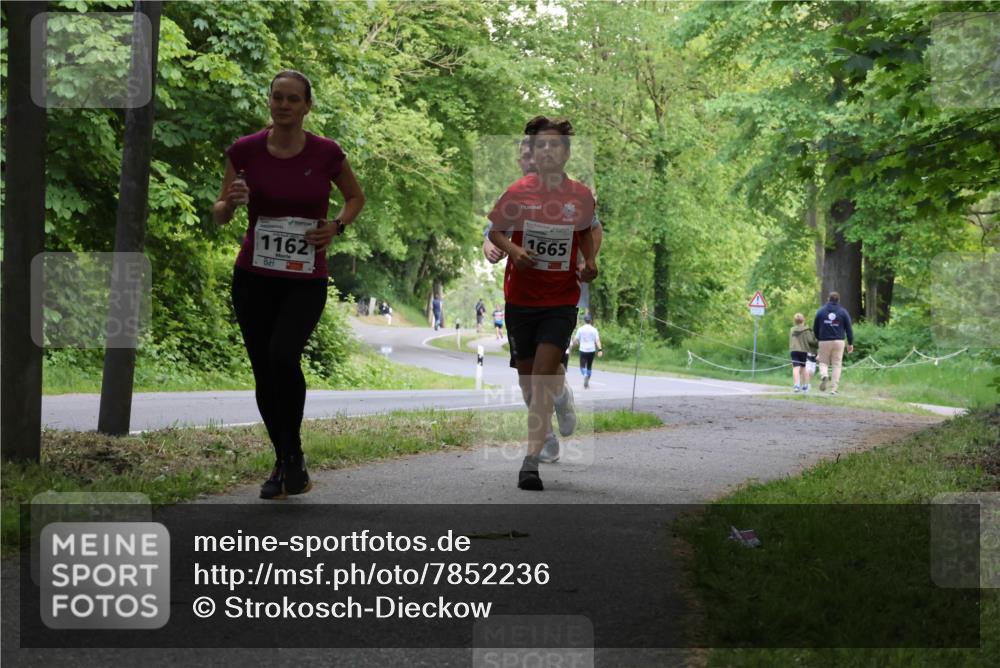 17.05.2025 - Störlauf Strokosch-Dieckow http://msf.ph/oto/7852236 17.05.2025 14:36:34 Laufen 1162, 1665 meine-sportfotos.de