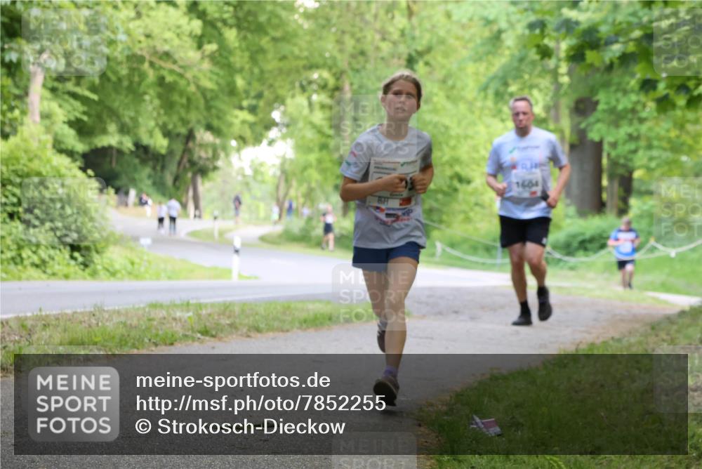 17.05.2025 - Störlauf Strokosch-Dieckow http://msf.ph/oto/7852255 17.05.2025 14:37:04 Laufen 1604 meine-sportfotos.de