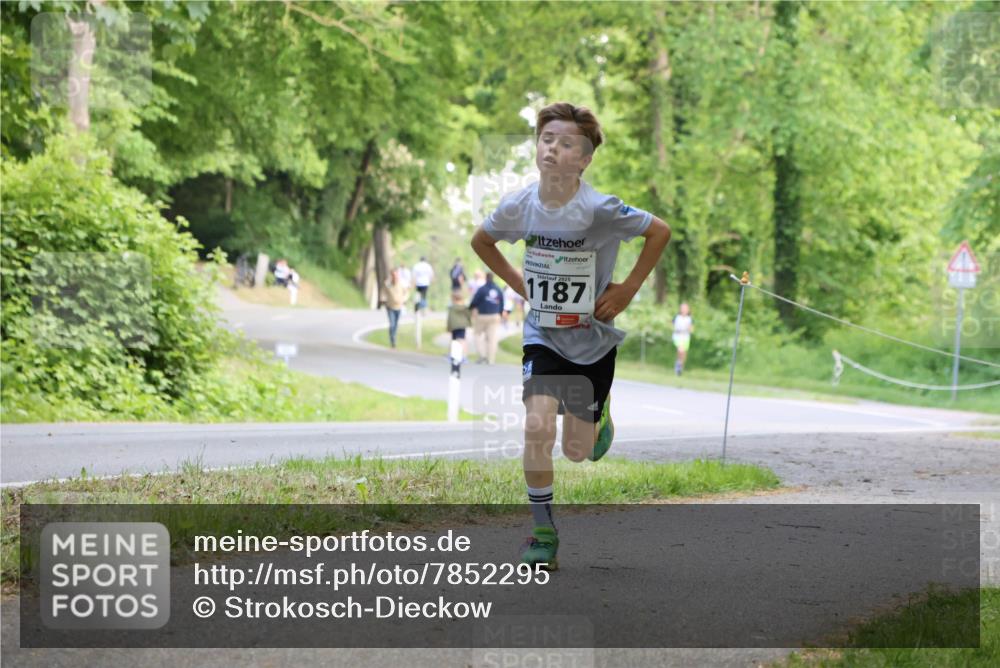 17.05.2025 - Störlauf Strokosch-Dieckow http://msf.ph/oto/7852295 17.05.2025 14:37:23 Laufen 2025, 1187 meine-sportfotos.de