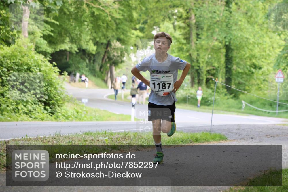 17.05.2025 - Störlauf Strokosch-Dieckow http://msf.ph/oto/7852297 17.05.2025 14:37:23 Laufen 2025, 1187 meine-sportfotos.de