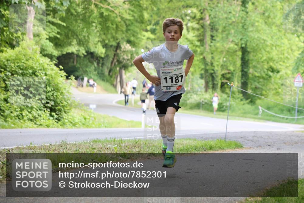 17.05.2025 - Störlauf Strokosch-Dieckow http://msf.ph/oto/7852301 17.05.2025 14:37:23 Laufen 2025, 1187 meine-sportfotos.de
