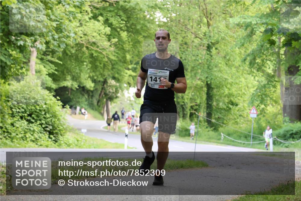 17.05.2025 - Störlauf Strokosch-Dieckow http://msf.ph/oto/7852309 17.05.2025 14:37:30 Laufen 141 meine-sportfotos.de