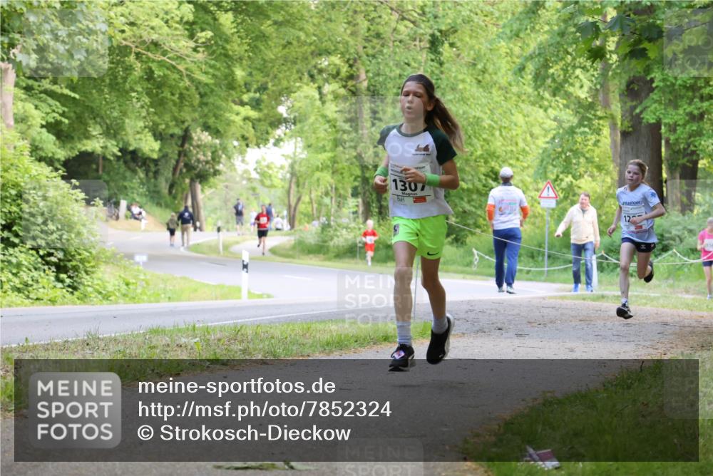 17.05.2025 - Störlauf Strokosch-Dieckow http://msf.ph/oto/7852324 17.05.2025 14:37:51 Laufen 1307, 12 meine-sportfotos.de