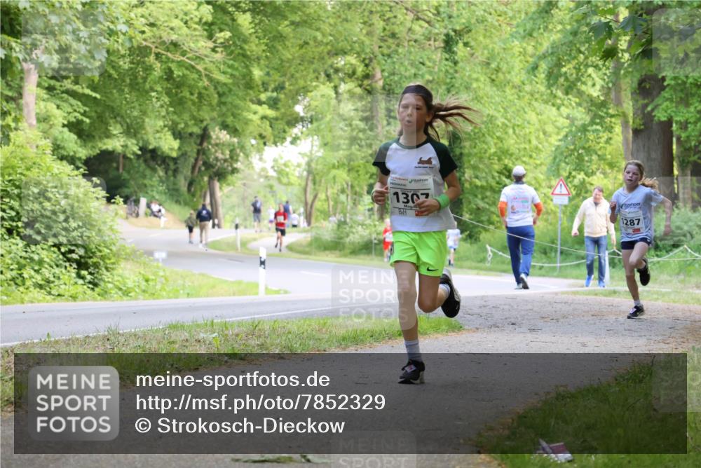 17.05.2025 - Störlauf Strokosch-Dieckow http://msf.ph/oto/7852329 17.05.2025 14:37:51 Laufen 1307, 1287 meine-sportfotos.de