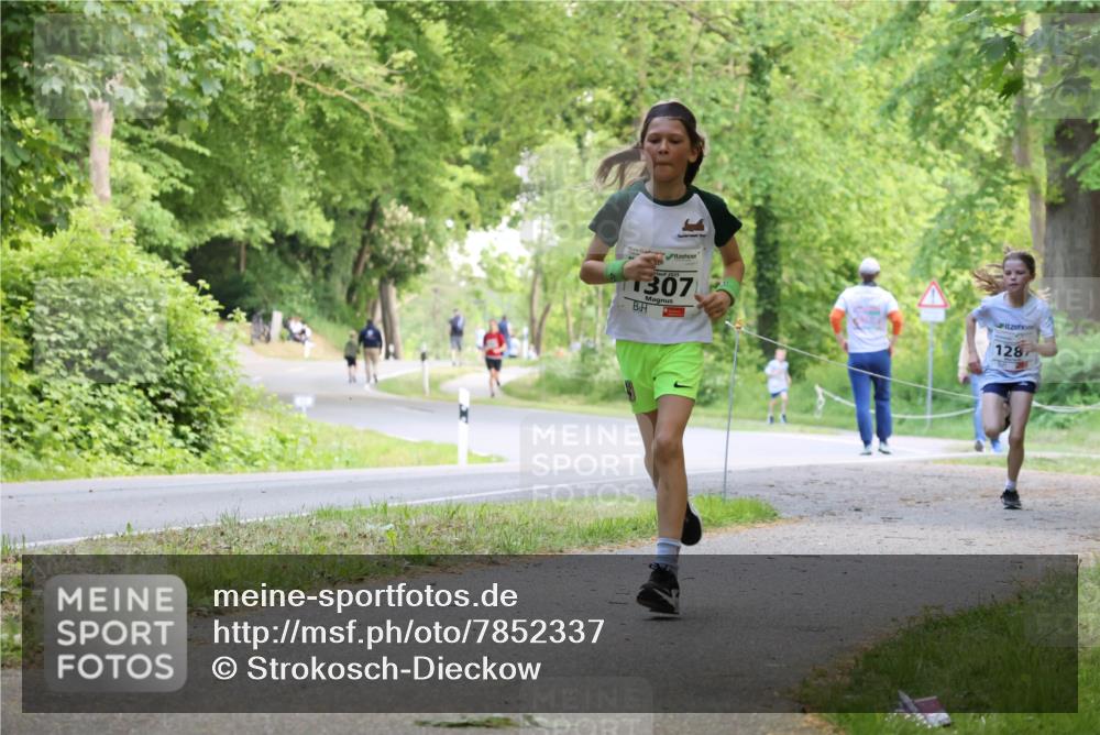17.05.2025 - Störlauf Strokosch-Dieckow http://msf.ph/oto/7852337 17.05.2025 14:37:51 Laufen 1307, 1287 meine-sportfotos.de