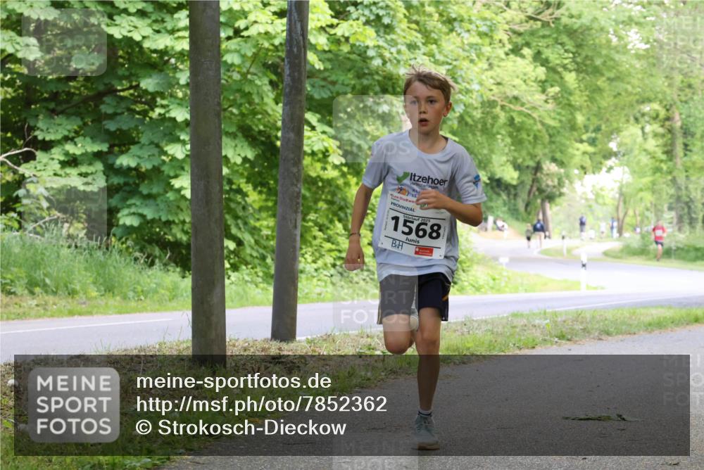 17.05.2025 - Störlauf Strokosch-Dieckow http://msf.ph/oto/7852362 17.05.2025 14:37:56 Laufen 2025, 1568 meine-sportfotos.de