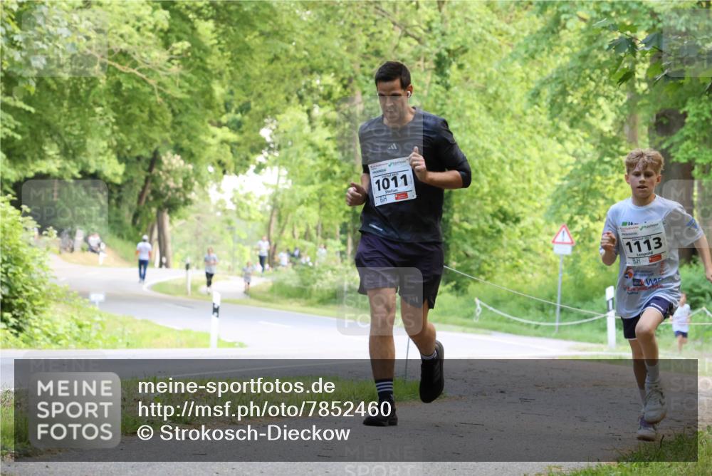 17.05.2025 - Störlauf Strokosch-Dieckow http://msf.ph/oto/7852460 17.05.2025 14:38:49 Laufen 1011, 1113 meine-sportfotos.de