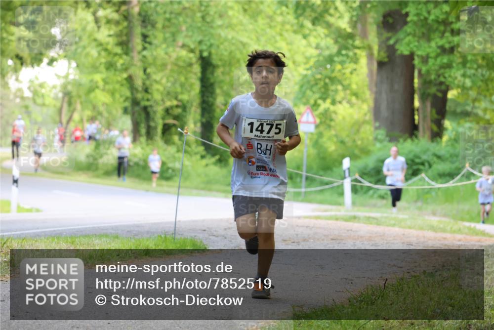 17.05.2025 - Störlauf Strokosch-Dieckow http://msf.ph/oto/7852519 17.05.2025 14:39:08 Laufen 2025, 1475 meine-sportfotos.de