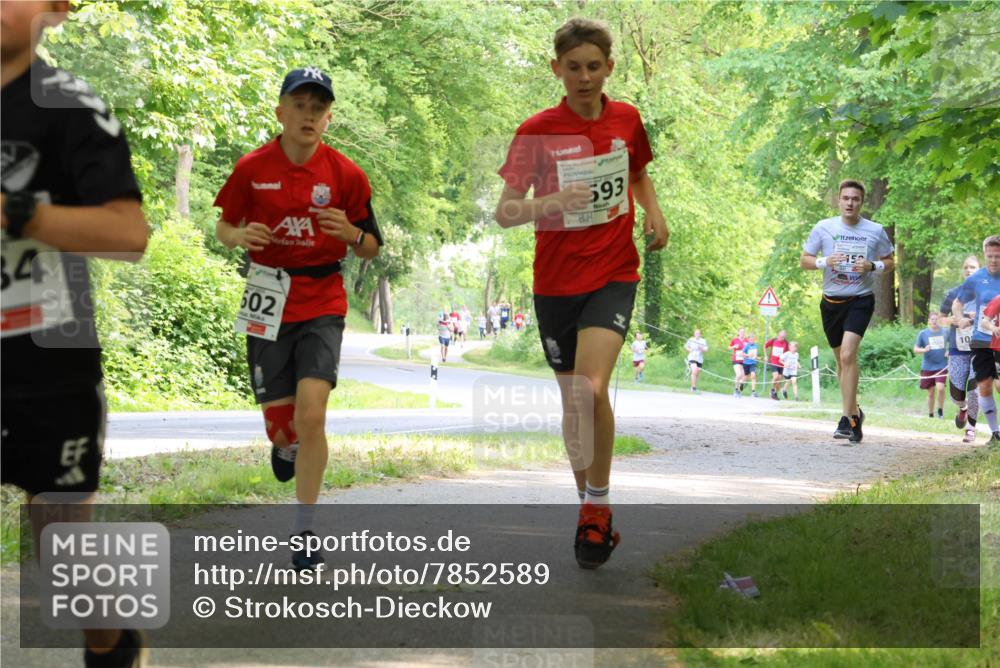 17.05.2025 - Störlauf Strokosch-Dieckow http://msf.ph/oto/7852589 17.05.2025 14:39:55 Laufen 593, 34, 602, 15, 10 meine-sportfotos.de