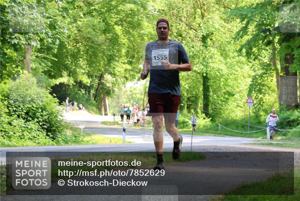 17.05.2025 - Störlauf Strokosch-Dieckow http://msf.ph/oto/7852629 17.05.2025 14:40:11 Laufen 1555 meine-sportfotos.de