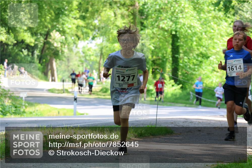 17.05.2025 - Störlauf Strokosch-Dieckow http://msf.ph/oto/7852645 17.05.2025 14:40:16 Laufen 2025, 1277, 1614 meine-sportfotos.de