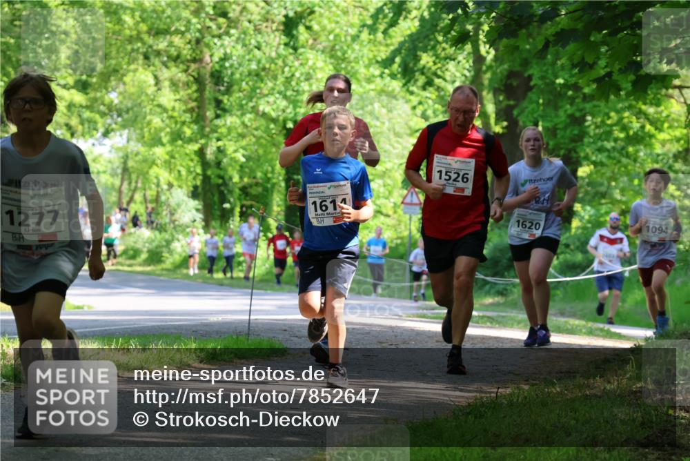 17.05.2025 - Störlauf Strokosch-Dieckow http://msf.ph/oto/7852647 17.05.2025 14:40:17 Laufen 2029, 1277, 1611, 1526, 1620, 3603, 1094 meine-sportfotos.de