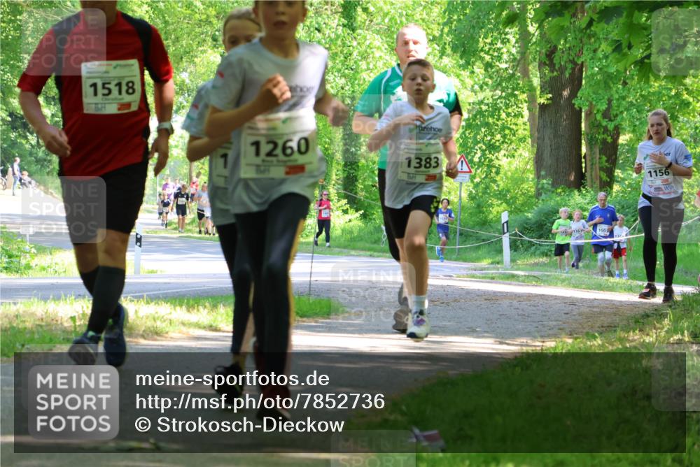 17.05.2025 - Störlauf Strokosch-Dieckow http://msf.ph/oto/7852736 17.05.2025 14:40:47 Laufen 1518, 1260, 1383, 1003, 1156 meine-sportfotos.de