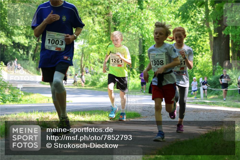 17.05.2025 - Störlauf Strokosch-Dieckow http://msf.ph/oto/7852793 17.05.2025 14:41:04 Laufen 1003, 1261, 1308, 61 meine-sportfotos.de