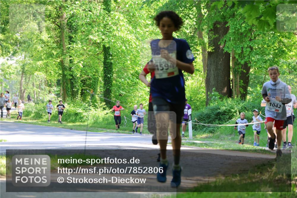 17.05.2025 - Störlauf Strokosch-Dieckow http://msf.ph/oto/7852806 17.05.2025 14:41:09 Laufen 1426, 126, 197, 1594, 483, 1231, 1042, 116 meine-sportfotos.de