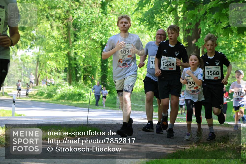 17.05.2025 - Störlauf Strokosch-Dieckow http://msf.ph/oto/7852817 17.05.2025 14:41:19 Laufen 1034, 11, 1589, 139, 1588, 1178 meine-sportfotos.de