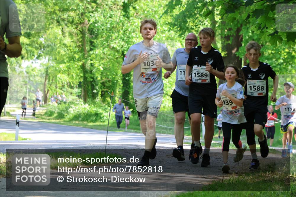 17.05.2025 - Störlauf Strokosch-Dieckow http://msf.ph/oto/7852818 17.05.2025 14:41:19 Laufen 1034, 11, 1589, 139, 1588, 1178 meine-sportfotos.de