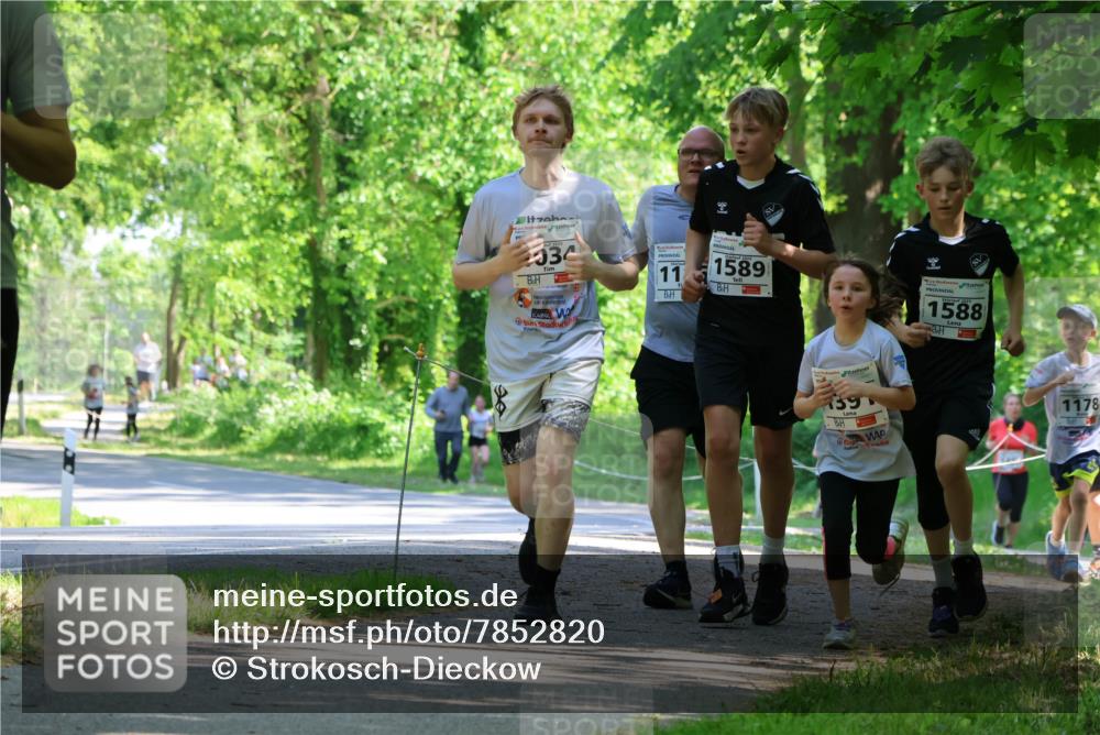 17.05.2025 - Störlauf Strokosch-Dieckow http://msf.ph/oto/7852820 17.05.2025 14:41:19 Laufen 2025, 034, 11, 1589, 1588, 139, 1178 meine-sportfotos.de
