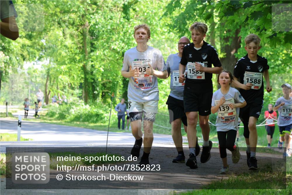 17.05.2025 - Störlauf Strokosch-Dieckow http://msf.ph/oto/7852823 17.05.2025 14:41:19 Laufen 03, 11, 1589, 1588, 202, 139, 5436, 1178 meine-sportfotos.de