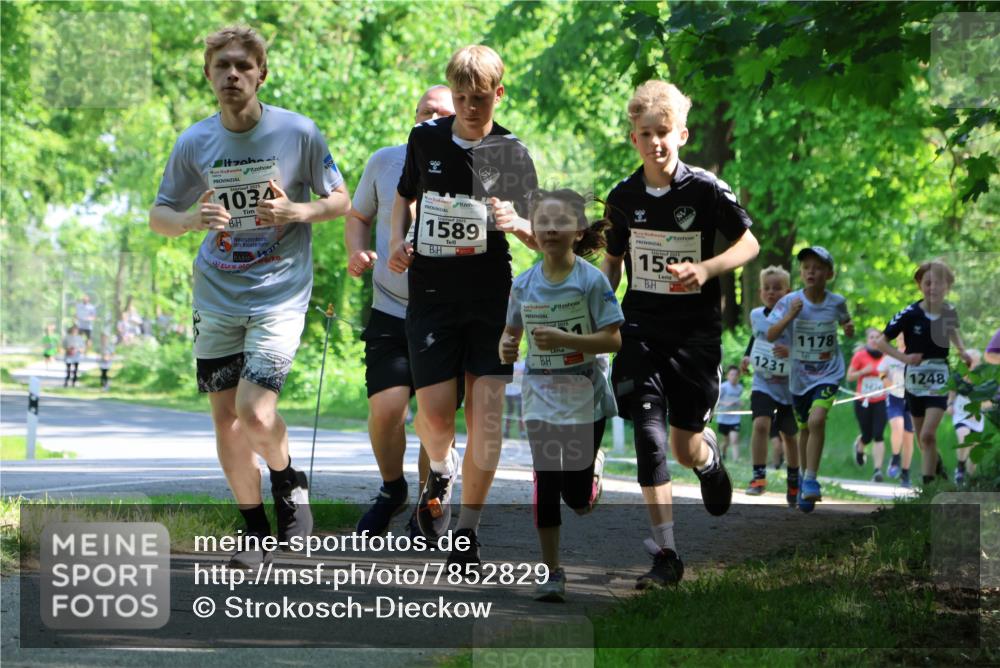 17.05.2025 - Störlauf Strokosch-Dieckow http://msf.ph/oto/7852829 17.05.2025 14:41:21 Laufen 1034, 2021, 1589, 2025, 2015, 158, 1231, 1178, 1248 meine-sportfotos.de