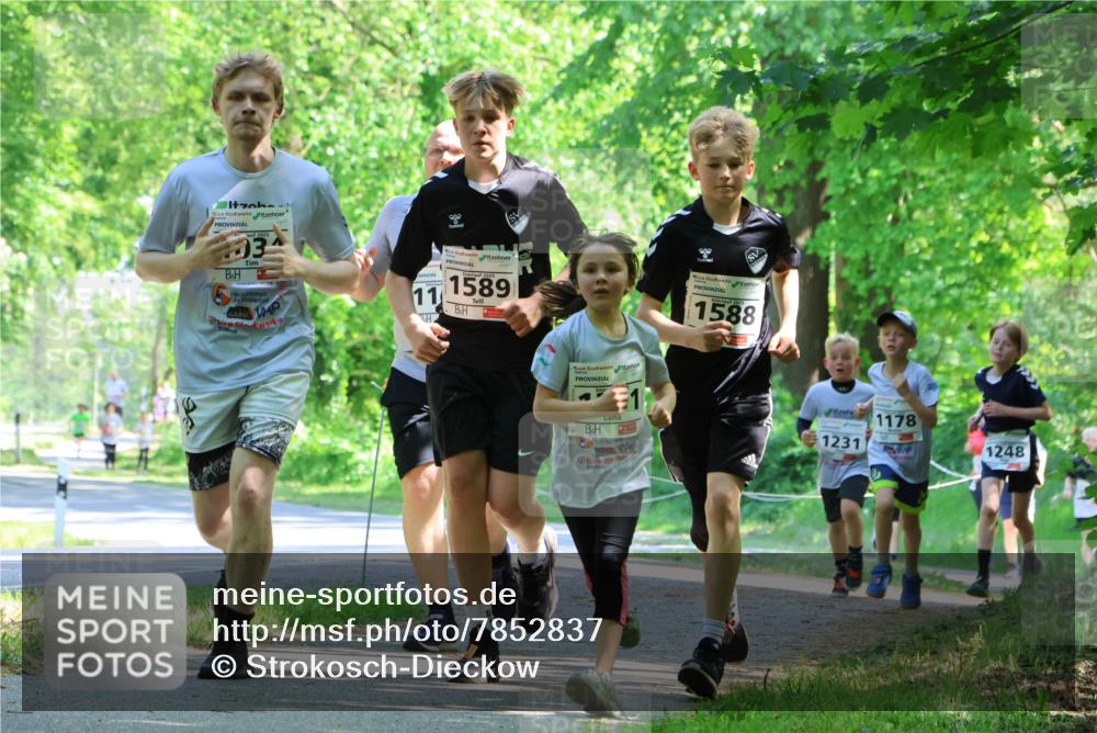 17.05.2025 - Störlauf Strokosch-Dieckow http://msf.ph/oto/7852837 17.05.2025 14:41:21 Laufen 1, 2025, 33, 11, 1589, 1588, 1, 1520, 1231, 1178, 1248 meine-sportfotos.de