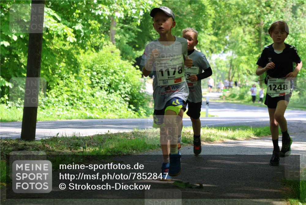 17.05.2025 - Störlauf Strokosch-Dieckow http://msf.ph/oto/7852847 17.05.2025 14:41:26 Laufen 2025, 1178, 24, 2025, 2025, 1248 meine-sportfotos.de