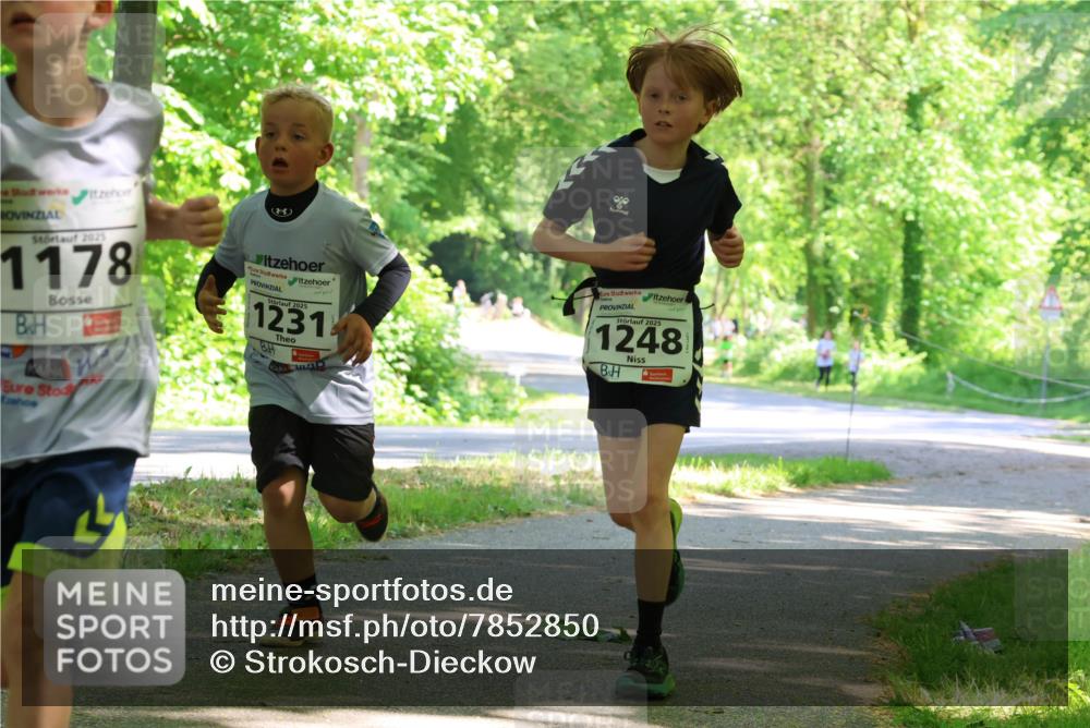 17.05.2025 - Störlauf Strokosch-Dieckow http://msf.ph/oto/7852850 17.05.2025 14:41:28 Laufen 2025, 1178, 2025, 1231, 2025, 1248 meine-sportfotos.de