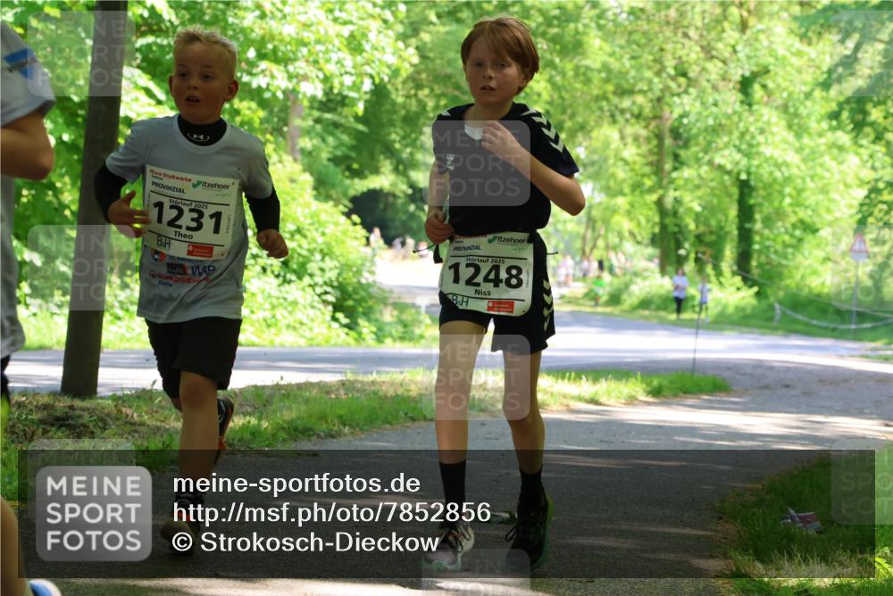 17.05.2025 - Störlauf Strokosch-Dieckow http://msf.ph/oto/7852856 17.05.2025 14:41:28 Laufen 2025, 1231, 2025, 1248 meine-sportfotos.de