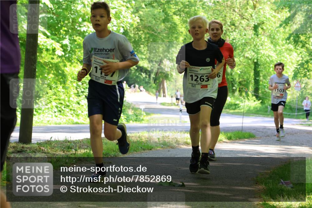 17.05.2025 - Störlauf Strokosch-Dieckow http://msf.ph/oto/7852869 17.05.2025 14:41:35 Laufen 11, 2025, 1263, 6, 1103 meine-sportfotos.de