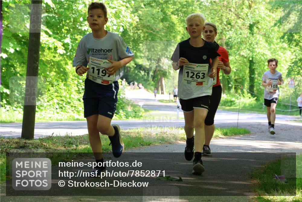 17.05.2025 - Störlauf Strokosch-Dieckow http://msf.ph/oto/7852871 17.05.2025 14:41:36 Laufen 119, 2025, 1263, 103 meine-sportfotos.de