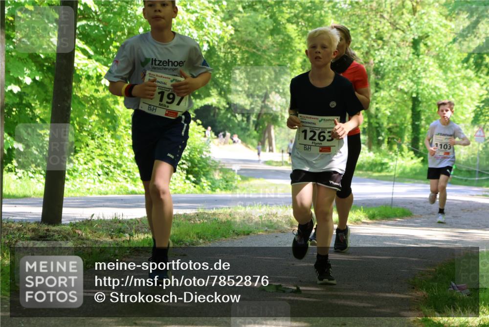 17.05.2025 - Störlauf Strokosch-Dieckow http://msf.ph/oto/7852876 17.05.2025 14:41:36 Laufen 202, 197, 2025, 1263, 1103 meine-sportfotos.de