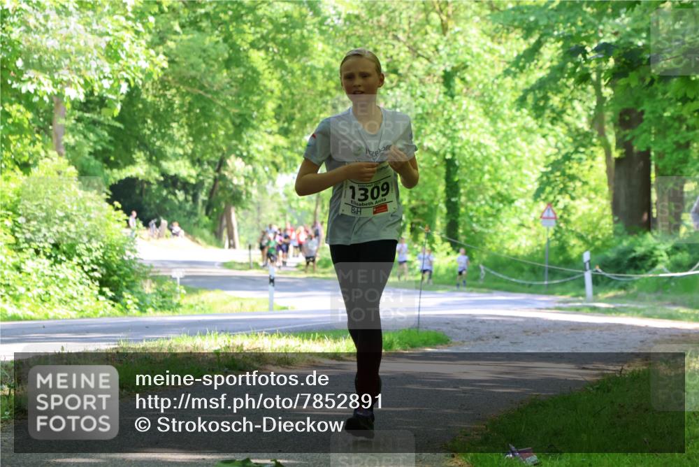 17.05.2025 - Störlauf Strokosch-Dieckow http://msf.ph/oto/7852891 17.05.2025 14:41:46 Laufen 2025, 1309 meine-sportfotos.de