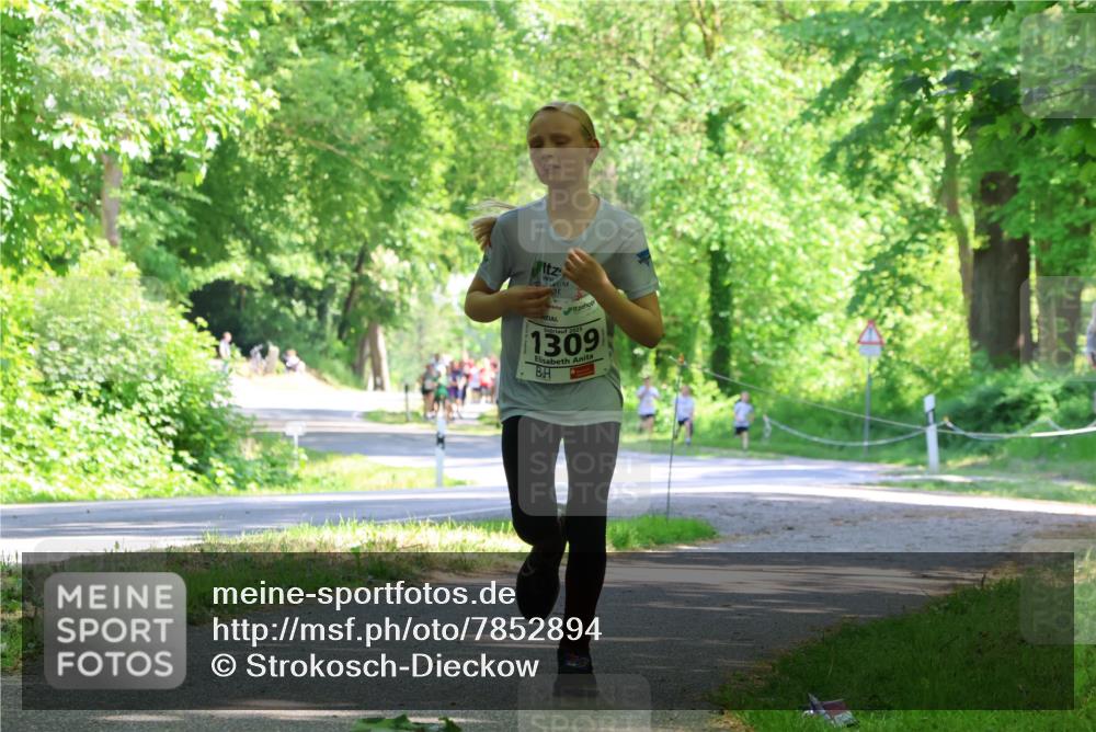 17.05.2025 - Störlauf Strokosch-Dieckow http://msf.ph/oto/7852894 17.05.2025 14:41:46 Laufen 2025, 1309 meine-sportfotos.de