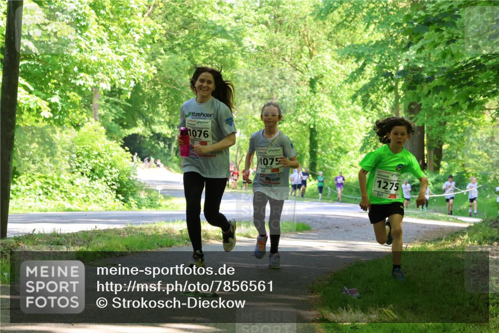 17.05.2025 - Störlauf Strokosch-Dieckow http://msf.ph/oto/7856561 17.05.2025 14:41:58 Laufen 1076, 1075, 1275 meine-sportfotos.de