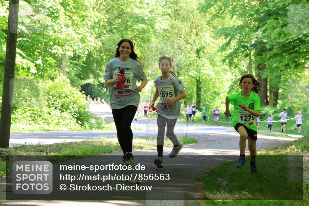 17.05.2025 - Störlauf Strokosch-Dieckow http://msf.ph/oto/7856563 17.05.2025 14:41:59 Laufen 76, 1075, 1275 meine-sportfotos.de