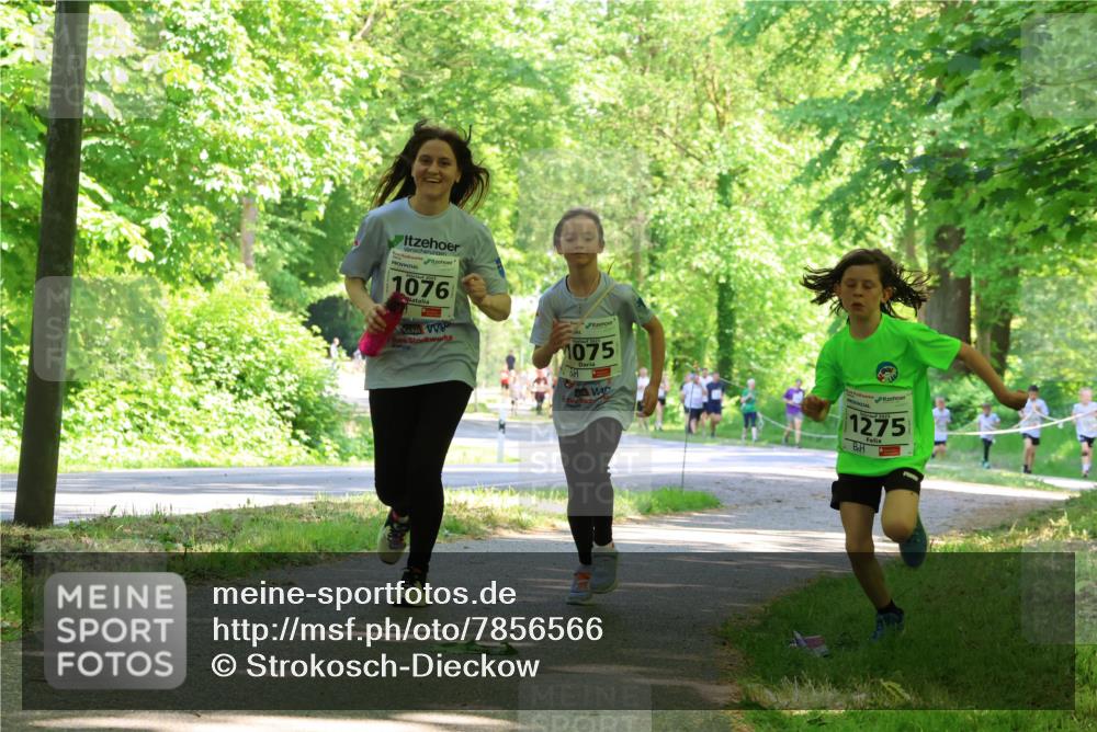 17.05.2025 - Störlauf Strokosch-Dieckow http://msf.ph/oto/7856566 17.05.2025 14:41:59 Laufen 1076, 1075, 1275 meine-sportfotos.de