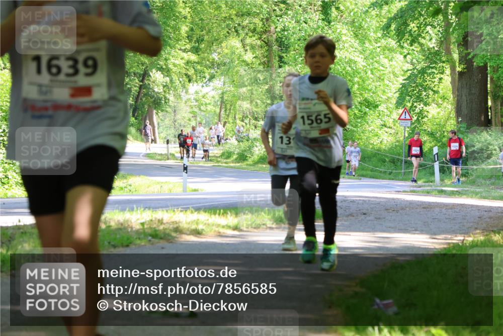 17.05.2025 - Störlauf Strokosch-Dieckow http://msf.ph/oto/7856585 17.05.2025 14:42:18 Laufen 1639, 13, 1565, 1521, 1520 meine-sportfotos.de