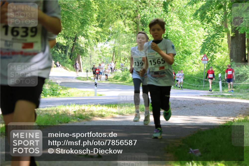 17.05.2025 - Störlauf Strokosch-Dieckow http://msf.ph/oto/7856587 17.05.2025 14:42:18 Laufen 1639, 139, 1565, 1521, 1520 meine-sportfotos.de