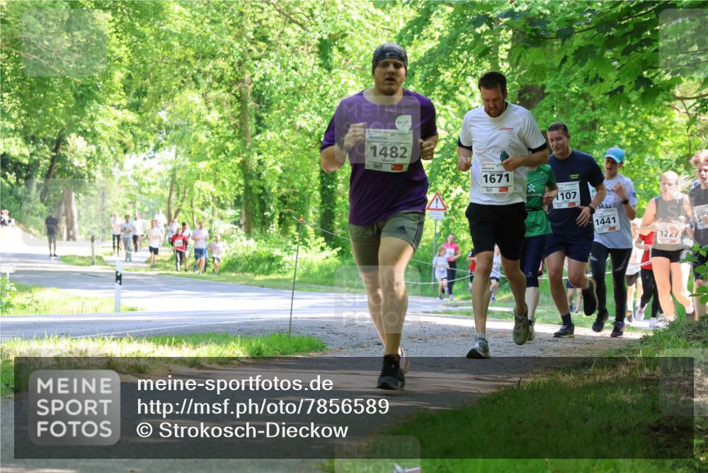 17.05.2025 - Störlauf Strokosch-Dieckow http://msf.ph/oto/7856589 17.05.2025 14:42:24 Laufen 1482, 1671, 107, 1441, 1227 meine-sportfotos.de