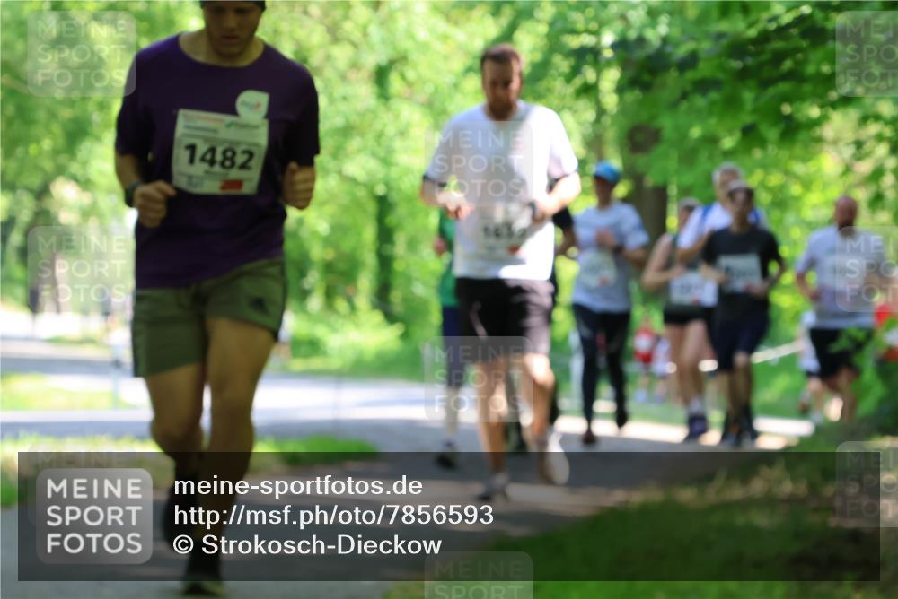 17.05.2025 - Störlauf Strokosch-Dieckow http://msf.ph/oto/7856593 17.05.2025 14:42:25 Laufen 1482 meine-sportfotos.de
