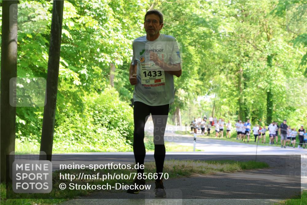17.05.2025 - Störlauf Strokosch-Dieckow http://msf.ph/oto/7856670 17.05.2025 14:43:08 Laufen 2025, 1433 meine-sportfotos.de