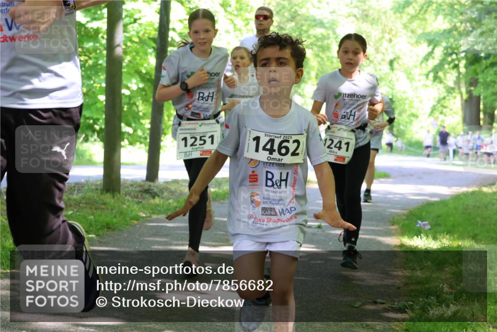 17.05.2025 - Störlauf Strokosch-Dieckow http://msf.ph/oto/7856682 17.05.2025 14:43:19 Laufen 2025, 1251, 2025, 1462, 1241 meine-sportfotos.de
