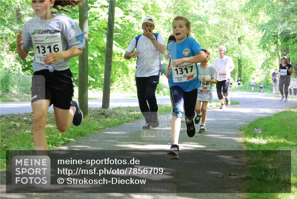 17.05.2025 - Störlauf Strokosch-Dieckow http://msf.ph/oto/7856709 17.05.2025 14:43:31 Laufen 1316, 1317, 168, 1546, 1177 meine-sportfotos.de