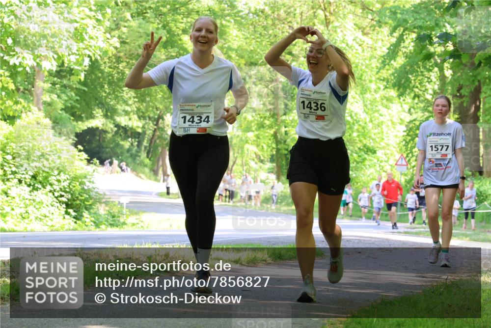 17.05.2025 - Störlauf Strokosch-Dieckow http://msf.ph/oto/7856827 17.05.2025 14:44:03 Laufen 2025, 1434, 1436, 1577 meine-sportfotos.de