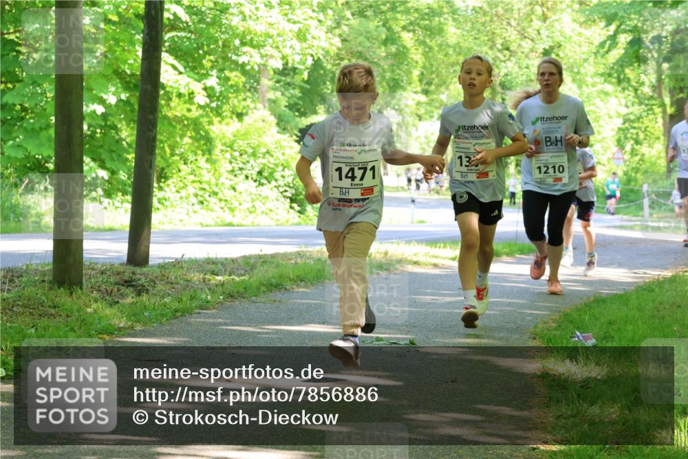 17.05.2025 - Störlauf Strokosch-Dieckow http://msf.ph/oto/7856886 17.05.2025 14:44:26 Laufen 2025, 1471, 13, 1210 meine-sportfotos.de