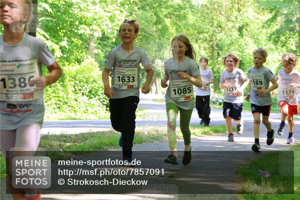 17.05.2025 - Störlauf Strokosch-Dieckow http://msf.ph/oto/7857091 17.05.2025 14:45:15 Laufen 1386, 2025, 1633, 1085, 1337, 1169, 1171 meine-sportfotos.de