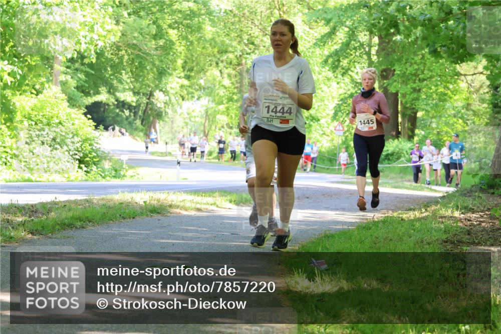 17.05.2025 - Störlauf Strokosch-Dieckow http://msf.ph/oto/7857220 17.05.2025 14:46:08 Laufen 1444, 1445 meine-sportfotos.de
