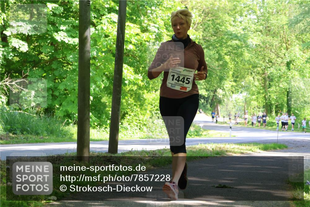 17.05.2025 - Störlauf Strokosch-Dieckow http://msf.ph/oto/7857228 17.05.2025 14:46:13 Laufen 2025, 1445 meine-sportfotos.de